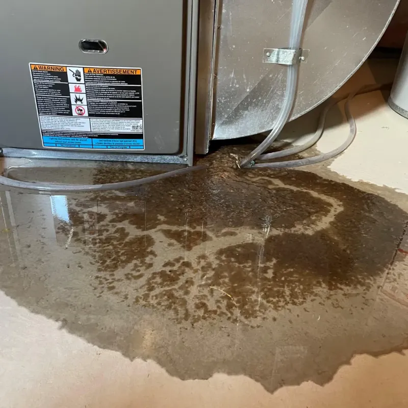 Appliance Leak Cleanup in Turlock, CA